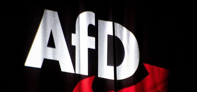 AT SECRET MEETING, FAR-RIGHT GERMAN PARTY AFD DISCUSSES PLAN TO DEPORT MILLIONS OF IMMIGRANTS