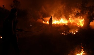Wildfires rampage in Greek forests, cut large island in half