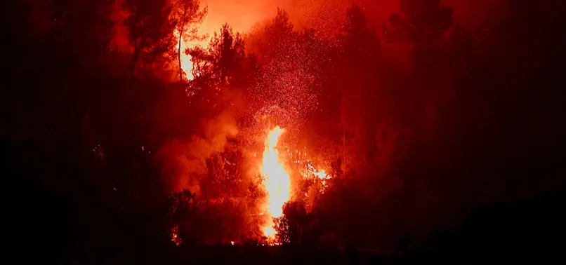 EUROPEAN WILDFIRES CAUSE UP TO $22B IN TOTAL DAMAGE