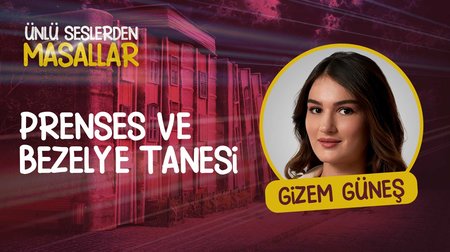 Gizem Güneş'in sesinden Prenses ve Bezelye Tanesi masalı