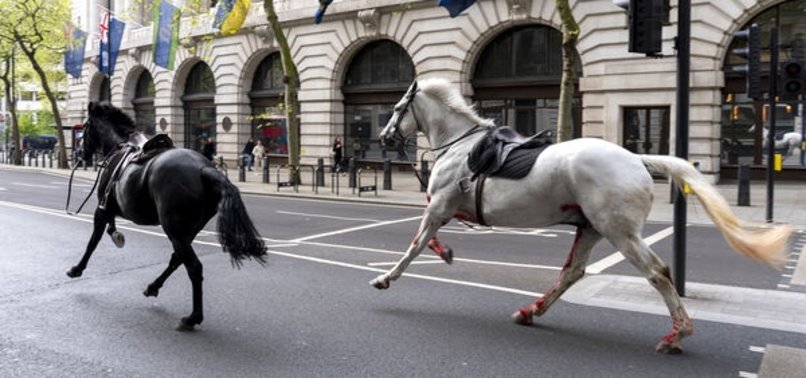SPOOKED ARMY HORSES CAUSE ‘TOTAL MAYHEM’ IN CENTRAL LONDON