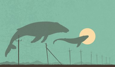 OYUNLAR NE KADAR MASUM?