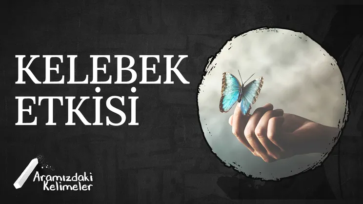 Kelebek Etkisi | Aramızdaki Kelimeler