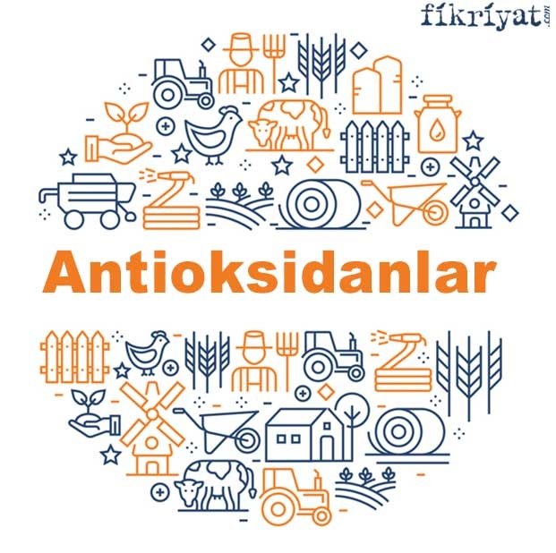 Antioksidanlar