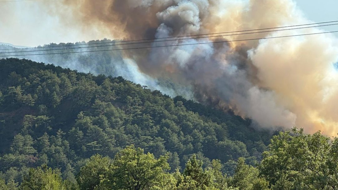 BOLU’DA ORMAN YANGINI