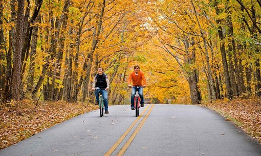 Yeni bir turizm: Yaprak izleme
