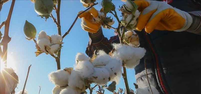 ISLAMIC BANK SUPPORTS CAMEROON COTTON INDUSTRY