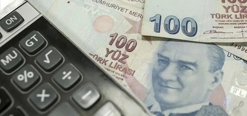 Cost-saving directive issued to public institutions by Minister Şimşek