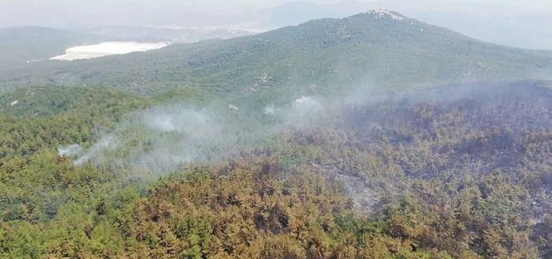 AT LEAST SIX WILDFIRES IN TURKEY STILL OUT OF CONTROL
