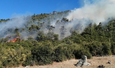 Combating climate disasters: Türkiye's approach to tackle forest fires