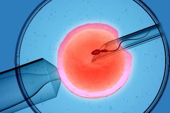 suni tohumlama caiz midir islam a gore