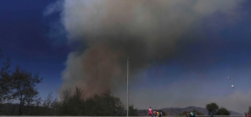 EXTREME HEAT DRIVES CHILE WILDFIRES LEAVING AT LEAST 51 DEAD