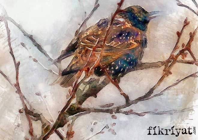 Modern Haiku’nun tarihi