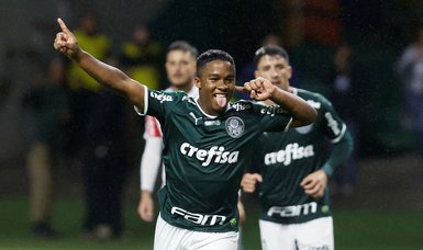 Palmeiras win record-extending 11th Brazilian title