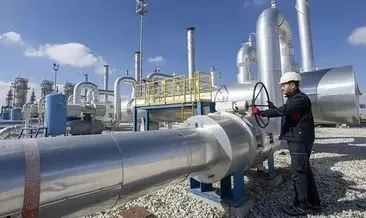 Avrupa’da doğal gaz alarmı!