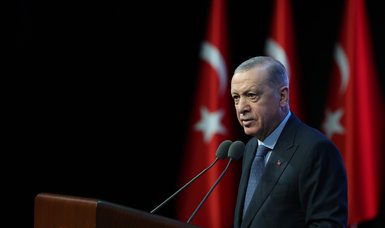 Turkish, UAE leaders Erdoğan and Al Nahyan discuss Gaza tragedy over phone | Erdoğan calls for efforts to achieve permanent cease-fire in Gaza