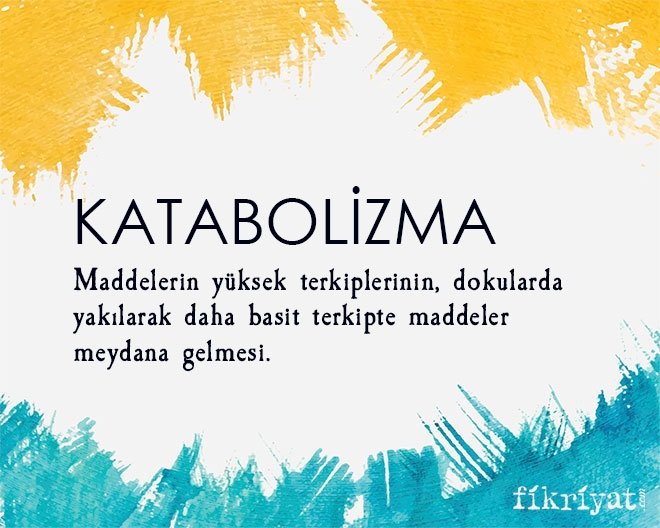 KATABOLİZMA