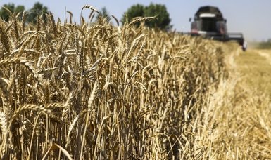 Mediation efforts expected from Türkiye for grain crisis issue