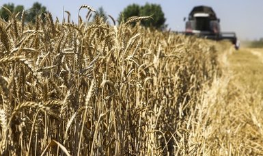 Mediation efforts expected from Türkiye for grain crisis issue