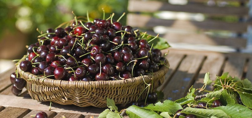 TURKISH CHERRY EXPORTERS EXPECT TO HIT ALL-TIME HIGH
