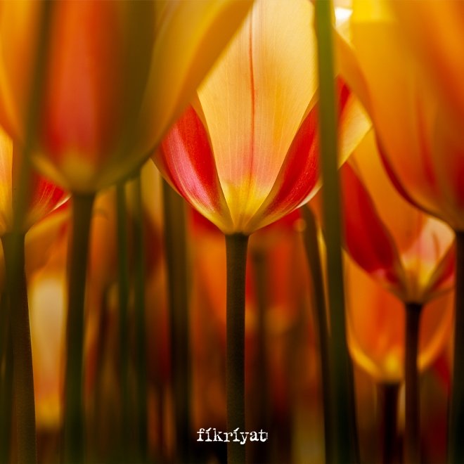 Sümbül Efendi Türbesi