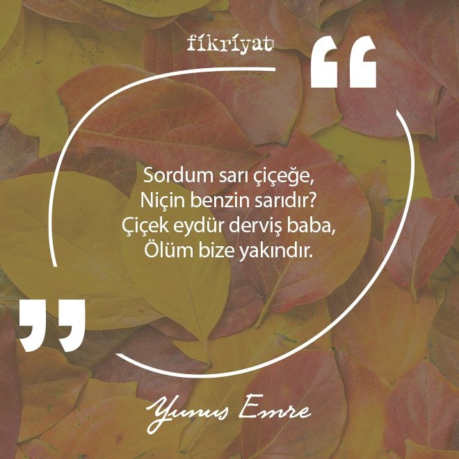 Yunus Emre