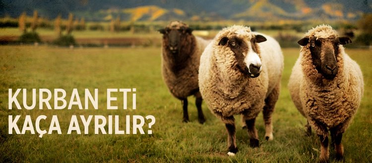 kurban eti kaca ayrilir kurban derisi
