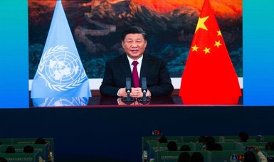 China to create biodiversity fund for developing countries, Xi says