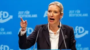 AfD Avrupa’ya Rest