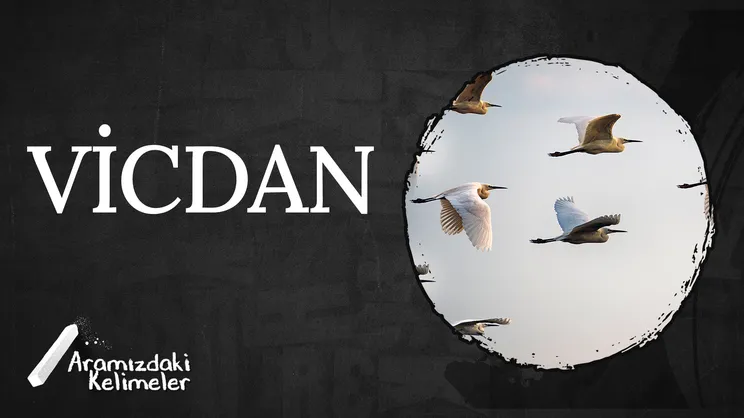 Vicdan | Aramızdaki Kelimeler