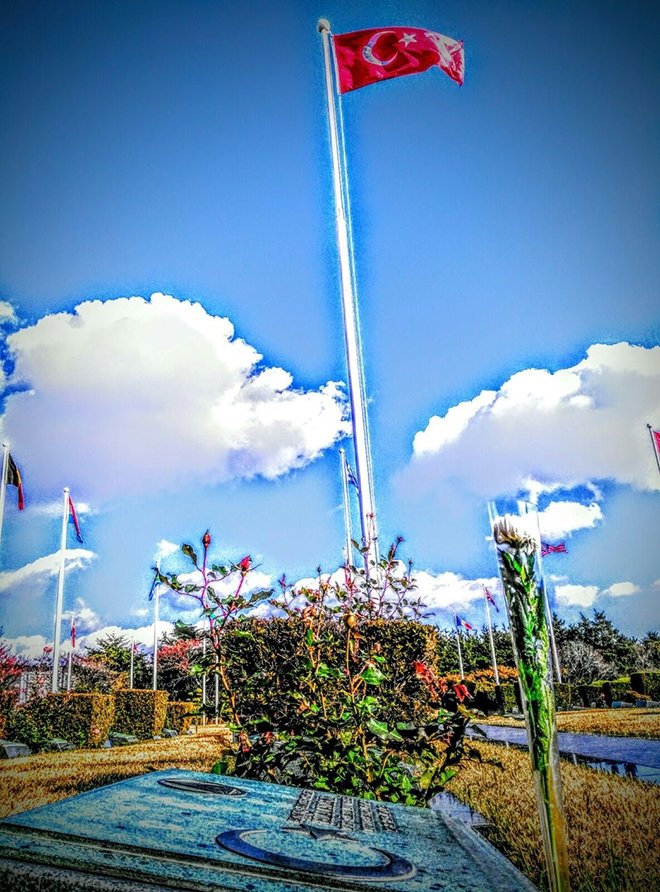 Dostluğun sembolü: Kore’deki Türk Şehitliği