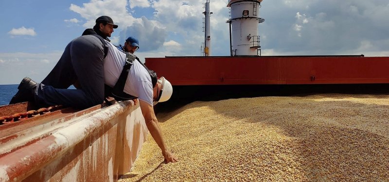 Ukraine raises outlook for upcoming harvest despite war with Russia