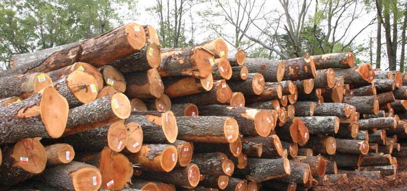 US IMPOSES NEW DUTIES ON CANADIAN LUMBER