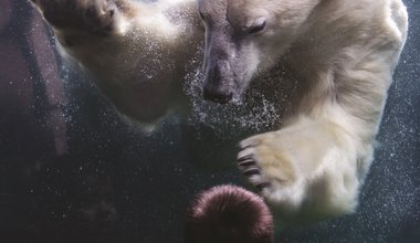 BABALAR VE YALNIZ KALAN OĞULLAR