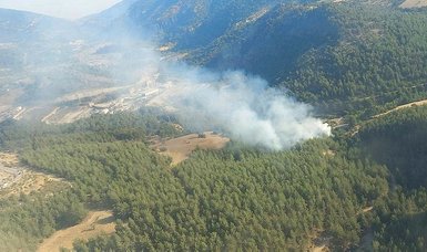 UAVs detect scores of forest fires across Türkiye since 2020
