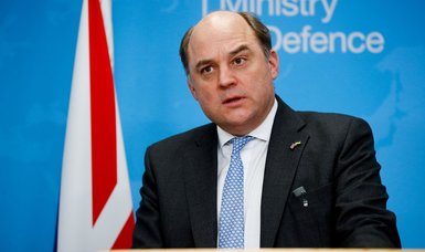UK should reconsider defence budget over Russia threat, Wallace says