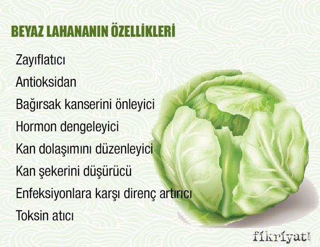 BEYAZ LAHANA KÜRÜ