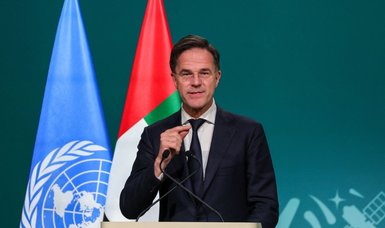 Netherlands urges accelerated ‘efforts on all pillars of the Paris Agreement'