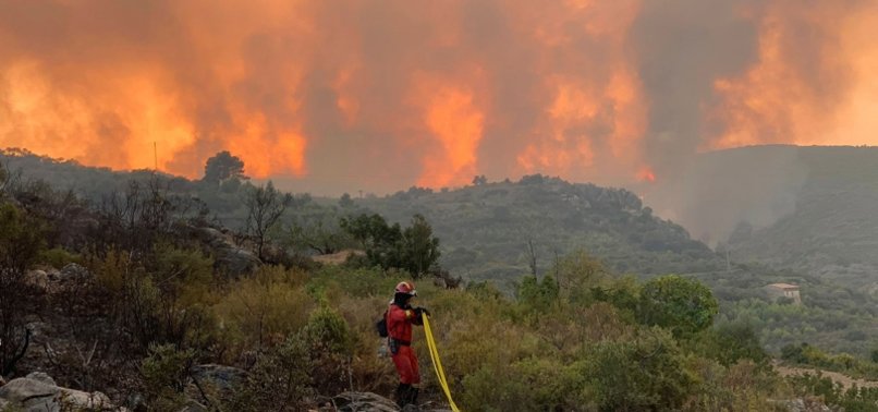 CLIMATE CHANGE DRIVING UNPRECEDENTED FOREST FIRE LOSS