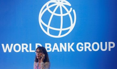 Global economy in 'precarious position,' World Bank warns