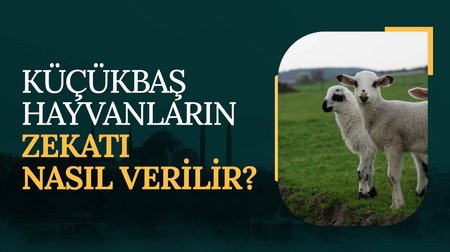 Küçükbaş hayvanların zekatı nasıl hesaplanır?