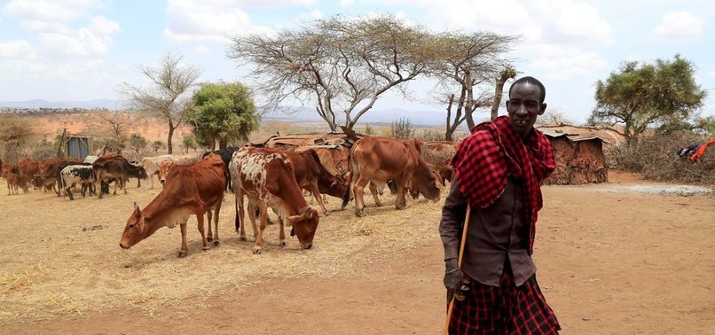 CLIMATE CHANGE INCREASED DROUGHT IN HORN OF AFRICA: STUDY