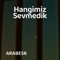 Hangimiz Sevmedik