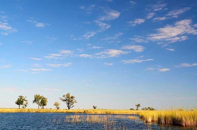 Su hakkında bilinmesi gereken 25 akıcı gerçek