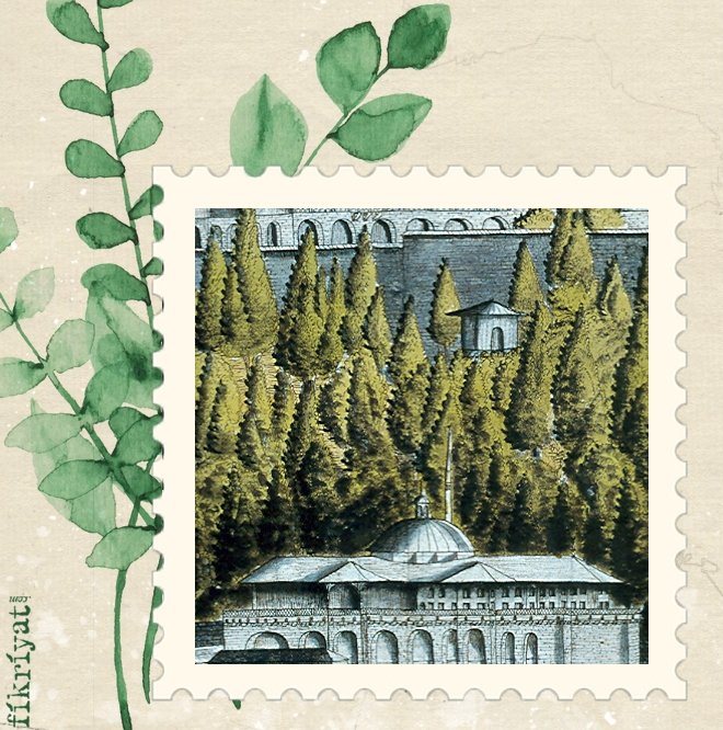 HASBAHÇELER NASIL ORTAYA ÇIKTI?