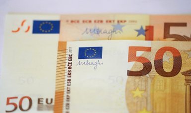 Western countries urge Kosovo to postpone decision to replace Serbian dinar with euro