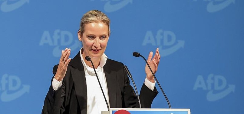 GERMANYS FAR-RIGHT AFD KEEPS SECOND PLACE IN POLLS DESPITE SCANDALS
