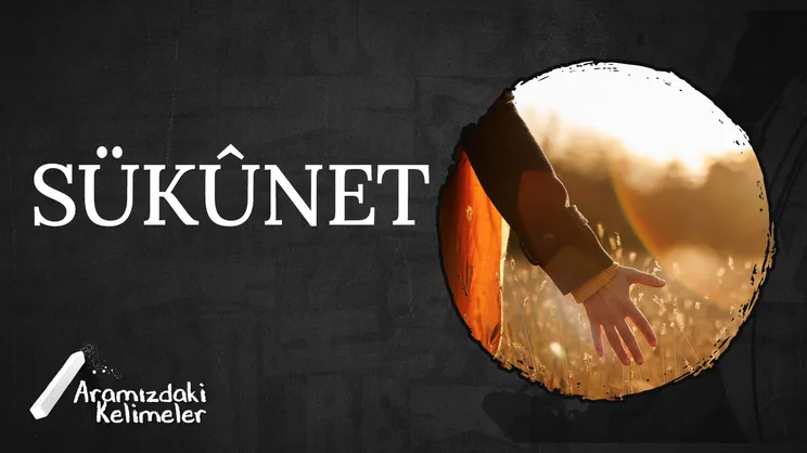 Sükûnet | Aramızdaki Kelimeler