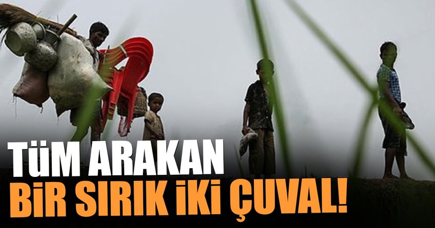Tüm Arakan bir sırık iki çuval