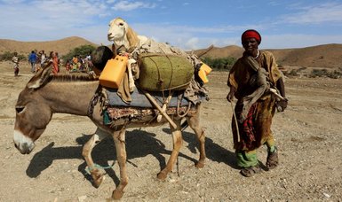 UN warns Horn of Africa drought to get worse as 5th consecutive rains fail